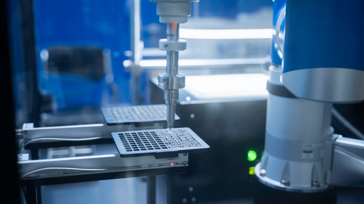 MiniMax M3.1 Flash来了：Opus 5.5刷屏的绝活，它也能做